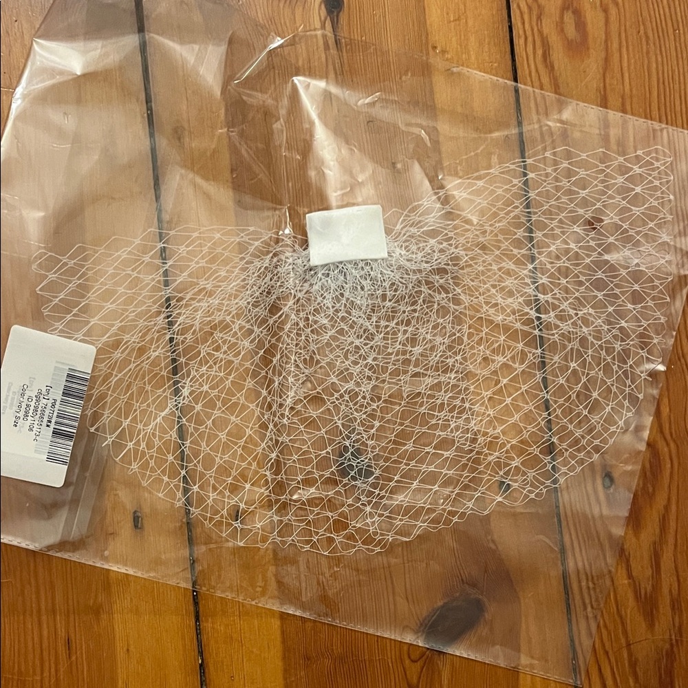 White Birdcage Veil